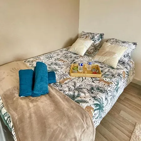 Grand Studio Centre-ville Gare Parking 2pers Apartment Troyes