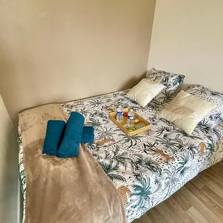 Apartment Grand Studio Centre-ville Gare Parking 2pers *