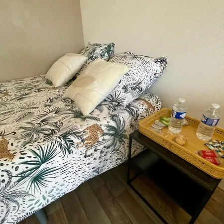 Apartment Grand Studio Centre-ville Gare Parking 2pers Troyes