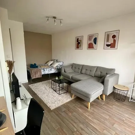 Apartment Grand Studio Centre-ville Gare Parking 2pers *