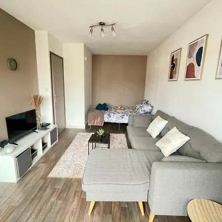 Grand Studio Centre-ville Gare Parking 2pers Troyes
