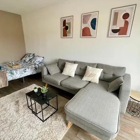 Apartment Grand Studio Centre-ville Gare Parking 2pers Troyes